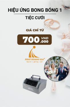 Hiệu Ứng Bong Bóng Tiệc Cưới 1