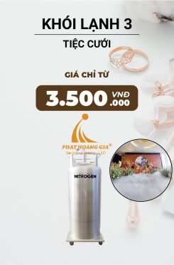 Hiệu Ứng Khói Lạnh Tiệc Cưới 3