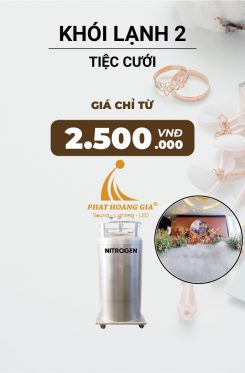 Hiệu Ứng Khói Lạnh Tiệc Cưới 2