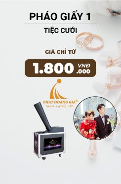 Hiệu Ứng Pháo Giấy Tiệc Cưới 1