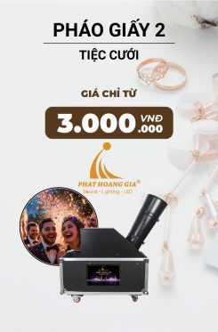 Hiệu Ứng Pháo Giấy Tiệc Cưới 2